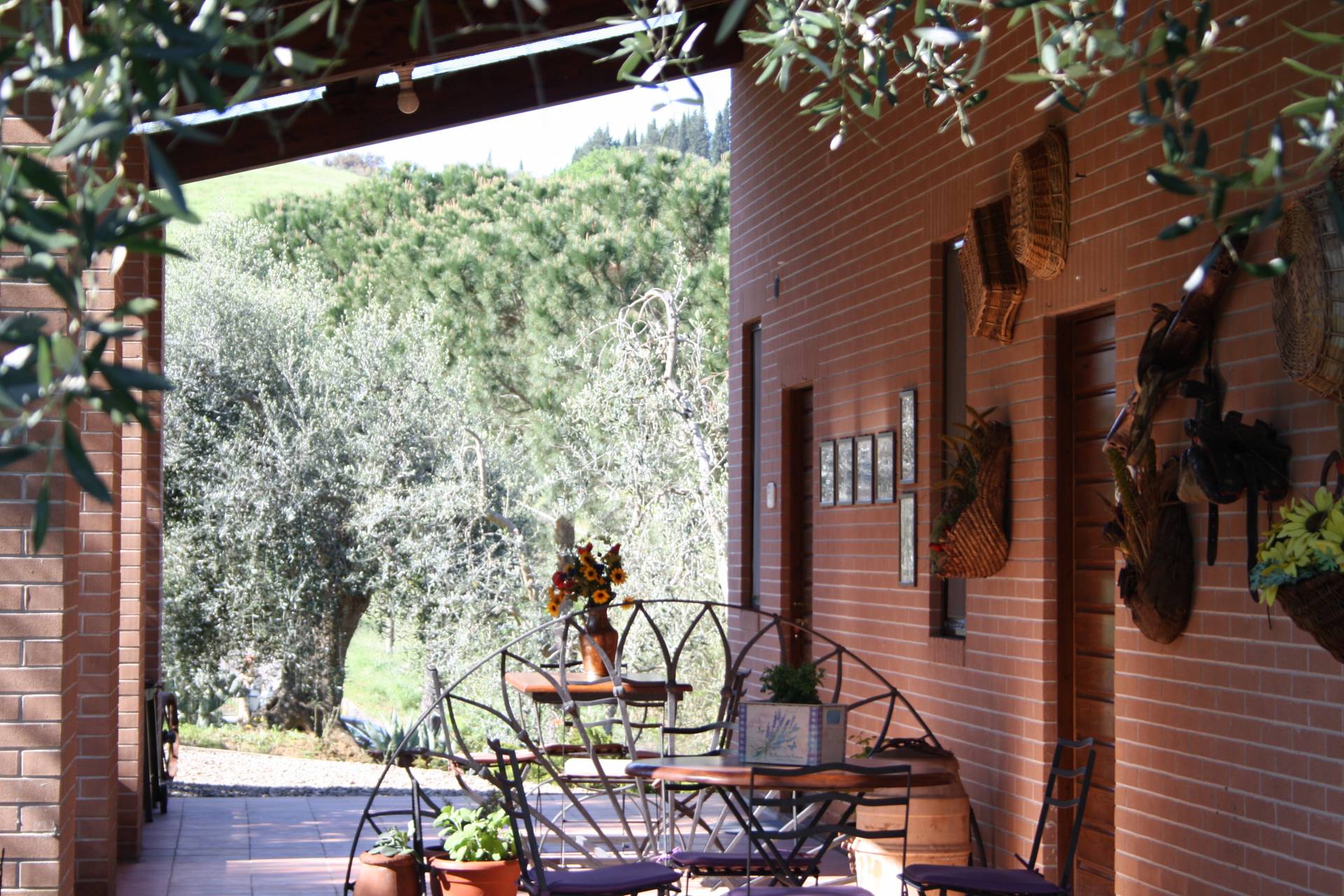 Agriturismo Grosseto con Piscina e cani ammessi